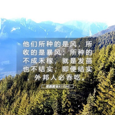 Picture 05 - 何 西 阿 书 8:7 CUVS - 他 们 所 种 的 是 风 ， 所 收 的 是 - Bible Verse Picture