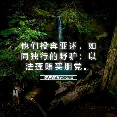 Picture 05 - 何 西 阿 书 8:9 CUVS - 他 们 投 奔 亚 述 ， 如 同 独 行 的 - Bible Verse Picture