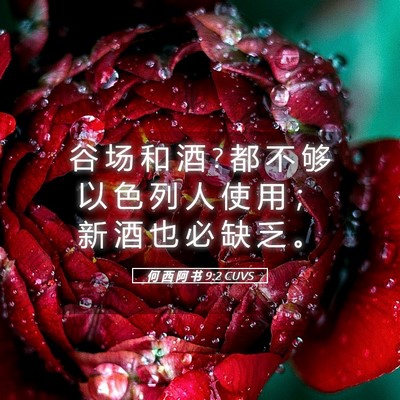 Picture 05 - 何 西 阿 书 9:2 CUVS - 谷 场 和 酒 ? 都 不 够 以 色 列 人 使 - Bible Verse Picture
