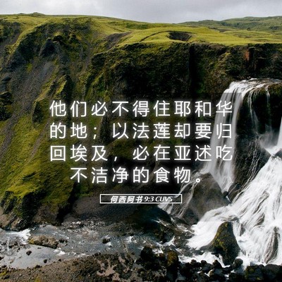 Picture 05 - 何 西 阿 书 9:3 CUVS - 他 们 必 不 得 住 耶 和 华 的 地 ； - Bible Verse Picture