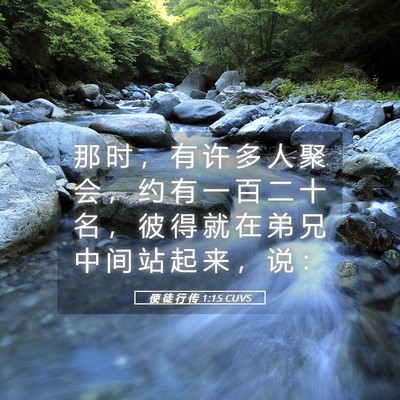 Picture 05 - 使 徒 行 传 1:15 CUVS - 那 时 ， 有 许 多 人 聚 会 ， 约 有 - Bible Verse Picture