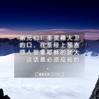 Picture 05 - 使 徒 行 传 1:16 CUVS - 弟 兄 们 ！ 圣 灵 藉 大 卫 的 口 ， - Bible Verse Picture