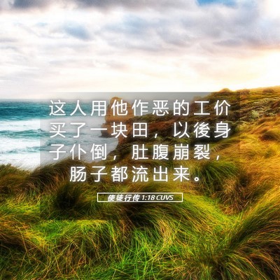 Picture 05 - 使 徒 行 传 1:18 CUVS - 这 人 用 他 作 恶 的 工 价 买 了 一 - Bible Verse Picture