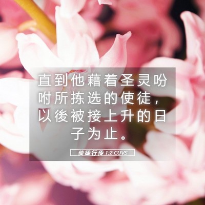 Picture 05 - 使 徒 行 传 1:2 CUVS - 直 到 他 藉 着 圣 灵 吩 咐 所 拣 选 - Bible Verse Picture