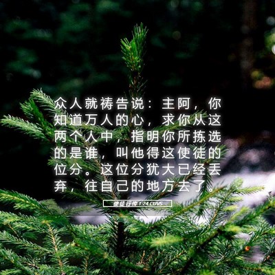 Picture 05 - 使 徒 行 传 1:24 CUVS - 众 人 就 祷 告 说 ： 主 阿 ， 你 知 - Bible Verse Picture