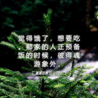 Picture 05 - 使 徒 行 传 10:10 CUVS - 觉 得 饿 了 ， 想 要 吃 。 那 家 的 - Bible Verse Picture