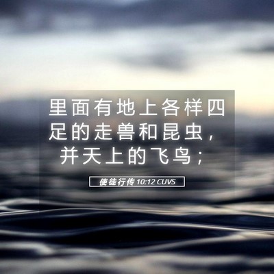Picture 05 - 使 徒 行 传 10:12 CUVS - 里 面 有 地 上 各 样 四 足 的 走 兽 - Bible Verse Picture