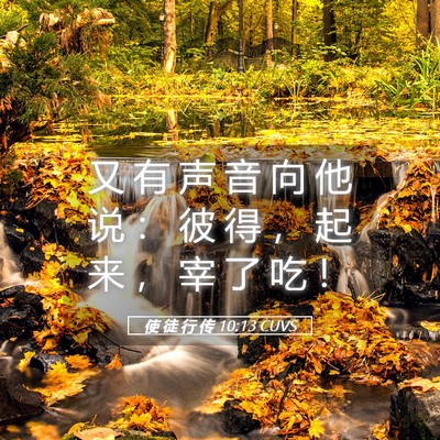 Picture 05 - 使 徒 行 传 10:13 CUVS - 又 有 声 音 向 他 说 ： 彼 得 ， 起 - Bible Verse Picture
