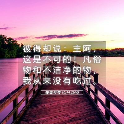 Picture 05 - 使 徒 行 传 10:14 CUVS - 彼 得 却 说 ： 主 阿 ， 这 是 不 可 - Bible Verse Picture