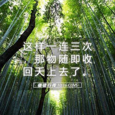 Picture 05 - 使 徒 行 传 10:16 CUVS - 这 样 一 连 三 次 ， 那 物 随 即 收 - Bible Verse Picture