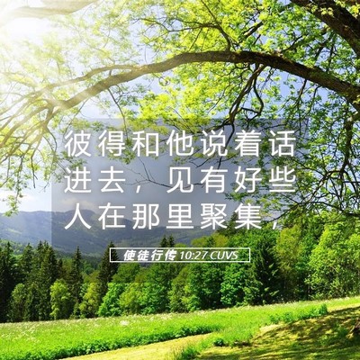 Picture 05 - 使 徒 行 传 10:27 CUVS - 彼 得 和 他 说 着 话 进 去 ， 见 有 - Bible Verse Picture
