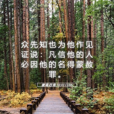 Picture 05 - 使 徒 行 传 10:43 CUVS - 众 先 知 也 为 他 作 见 证 说 ： 凡 - Bible Verse Picture