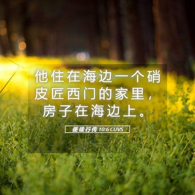 Picture 05 - 使 徒 行 传 10:6 CUVS - 他 住 在 海 边 一 个 硝 皮 匠 西 门 - Bible Verse Picture