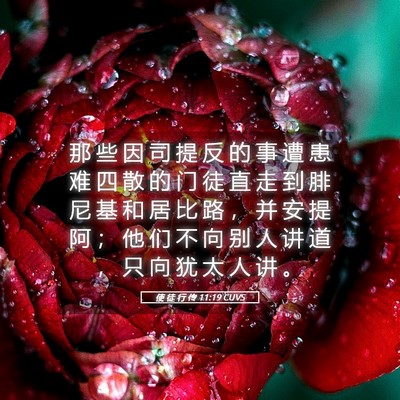 Picture 05 - 使 徒 行 传 11:19 CUVS - 那 些 因 司 提 反 的 事 遭 患 难 四 - Bible Verse Picture