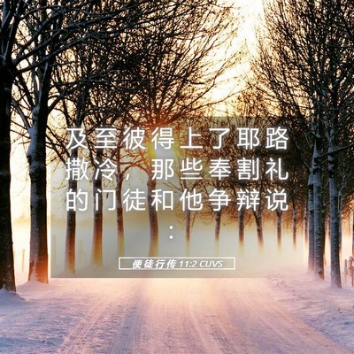Picture 05 - 使 徒 行 传 11:2 CUVS - 及 至 彼 得 上 了 耶 路 撒 冷 ， 那 - Bible Verse Picture