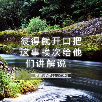 Picture 05 - 使 徒 行 传 11:4 CUVS - 彼 得 就 开 口 把 这 事 挨 次 给 他 - Bible Verse Picture