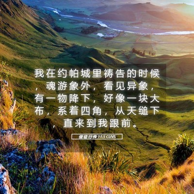 Picture 05 - 使 徒 行 传 11:5 CUVS - 我 在 约 帕 城 里 祷 告 的 时 候 ， - Bible Verse Picture