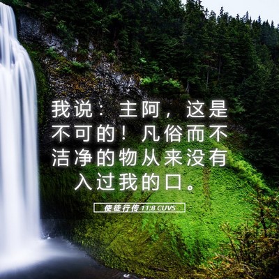 Picture 05 - 使 徒 行 传 11:8 CUVS - 我 说 ： 主 阿 ， 这 是 不 可 的 ！ - Bible Verse Picture