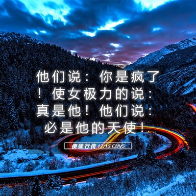 Picture 05 - 使 徒 行 传 12:15 CUVS - 他 们 说 ： 你 是 疯 了 ！ 使 女 极 - Bible Verse Picture