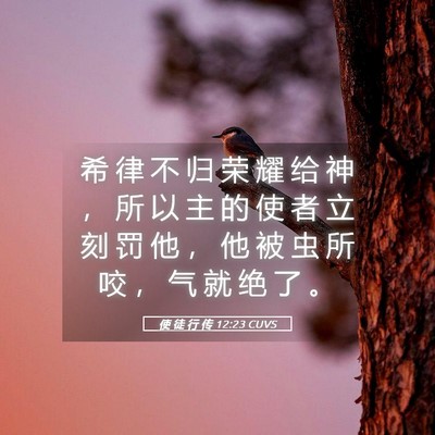 Picture 05 - 使 徒 行 传 12:23 CUVS - 希 律 不 归 荣 耀 给 神 ， 所 以 主 - Bible Verse Picture