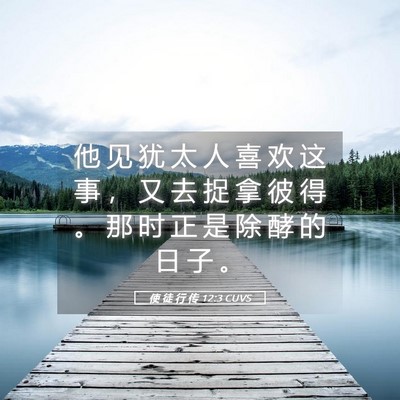 Picture 05 - 使 徒 行 传 12:3 CUVS - 他 见 犹 太 人 喜 欢 这 事 ， 又 去 - Bible Verse Picture