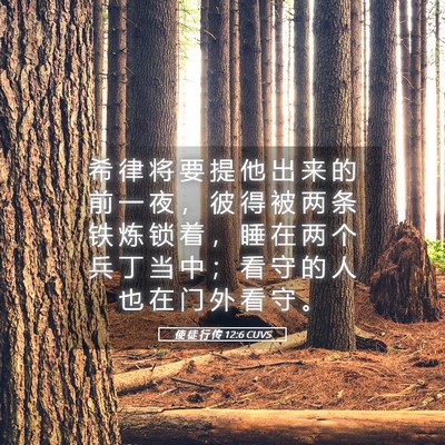 Picture 05 - 使 徒 行 传 12:6 CUVS - 希 律 将 要 提 他 出 来 的 前 一 夜 - Bible Verse Picture