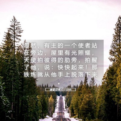 Picture 05 - 使 徒 行 传 12:7 CUVS - 忽 然 ， 有 主 的 一 个 使 者 站 在 - Bible Verse Picture