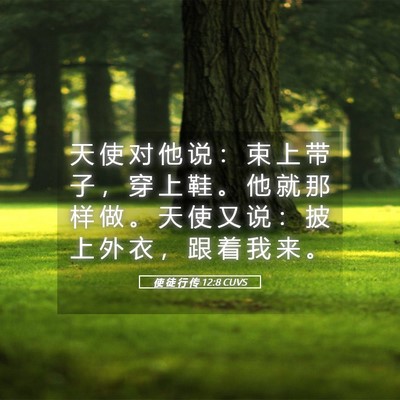 Picture 05 - 使 徒 行 传 12:8 CUVS - 天 使 对 他 说 ： 束 上 带 子 ， 穿 - Bible Verse Picture