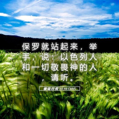 Picture 05 - 使 徒 行 传 13:16 CUVS - 保 罗 就 站 起 来 ， 举 手 ， 说 ： - Bible Verse Picture