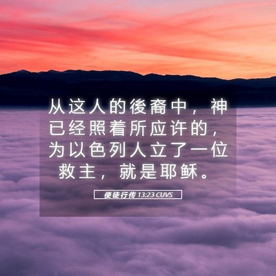 Picture 05 - 使 徒 行 传 13:23 CUVS - 从 这 人 的 後 裔 中 ， 神 已 经 照 - Bible Verse Picture