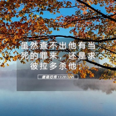 Picture 05 - 使 徒 行 传 13:28 CUVS - 虽 然 查 不 出 他 有 当 死 的 罪 来 - Bible Verse Picture