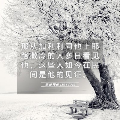 Picture 05 - 使 徒 行 传 13:31 CUVS - 那 从 加 利 利 同 他 上 耶 路 撒 冷 - Bible Verse Picture