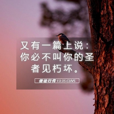 Picture 05 - 使 徒 行 传 13:35 CUVS - 又 有 一 篇 上 说 ： 你 必 不 叫 你 - Bible Verse Picture