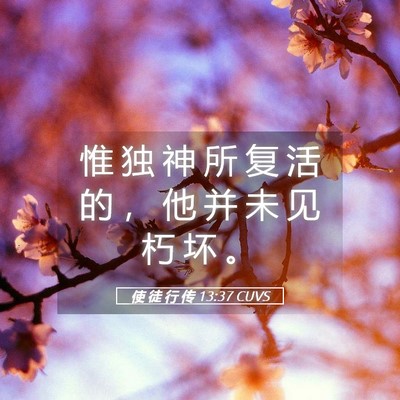 Picture 05 - 使 徒 行 传 13:37 CUVS - 惟 独 神 所 复 活 的 ， 他 并 未 见 - Bible Verse Picture