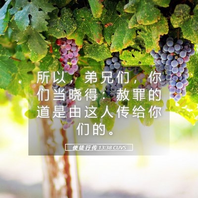 Picture 05 - 使 徒 行 传 13:38 CUVS - 所 以 ， 弟 兄 们 ， 你 们 当 晓 得 - Bible Verse Picture