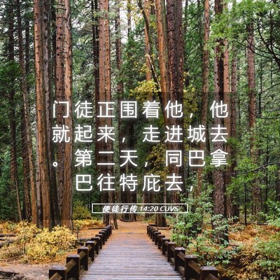 Picture 05 - 使 徒 行 传 14:20 CUVS - 门 徒 正 围 着 他 ， 他 就 起 来 ， - Bible Verse Picture