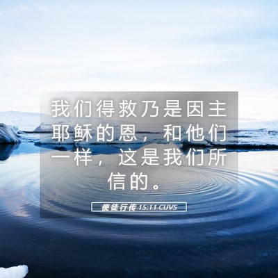 Picture 05 - 使 徒 行 传 15:11 CUVS - 我 们 得 救 乃 是 因 主 耶 稣 的 恩 - Bible Verse Picture