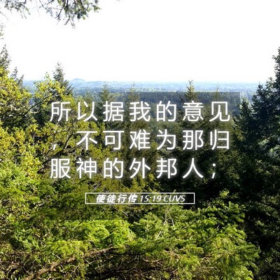 Picture 05 - 使 徒 行 传 15:19 CUVS - 所 以 据 我 的 意 见 ， 不 可 难 为 - Bible Verse Picture
