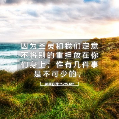 Picture 05 - 使 徒 行 传 15:28 CUVS - 因 为 圣 灵 和 我 们 定 意 不 将 别 - Bible Verse Picture