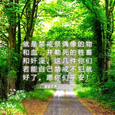 Picture 05 - 使 徒 行 传 15:29 CUVS - 就 是 禁 戒 祭 偶 像 的 物 和 血 ， - Bible Verse Picture
