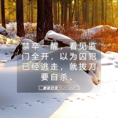 Picture 05 - 使 徒 行 传 16:27 CUVS - 禁 卒 一 醒 ， 看 见 监 门 全 开 ， - Bible Verse Picture