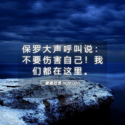 Picture 05 - 使 徒 行 传 16:28 CUVS - 保 罗 大 声 呼 叫 说 ： 不 要 伤 害 - Bible Verse Picture