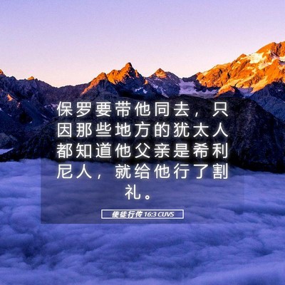 Picture 05 - 使 徒 行 传 16:3 CUVS - 保 罗 要 带 他 同 去 ， 只 因 那 些 - Bible Verse Picture