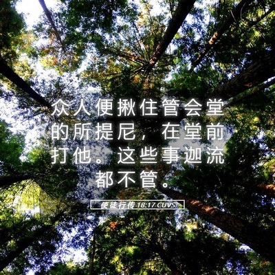 Picture 05 - 使 徒 行 传 18:17 CUVS - 众 人 便 揪 住 管 会 堂 的 所 提 尼 - Bible Verse Picture