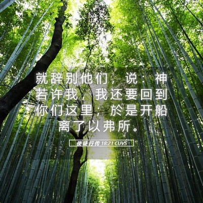 Picture 05 - 使 徒 行 传 18:21 CUVS - 就 辞 别 他 们 ， 说 ： 神 若 许 我 - Bible Verse Picture