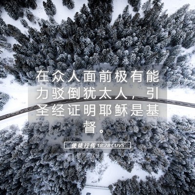 Picture 05 - 使 徒 行 传 18:28 CUVS - 在 众 人 面 前 极 有 能 力 驳 倒 犹 - Bible Verse Picture