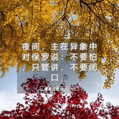 Picture 05 - 使 徒 行 传 18:9 CUVS - 夜 间 ， 主 在 异 象 中 对 保 罗 说 - Bible Verse Picture