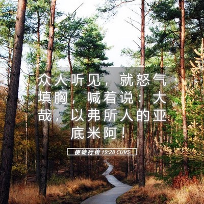 Picture 05 - 使 徒 行 传 19:28 CUVS - 众 人 听 见 ， 就 怒 气 填 胸 ， 喊 - Bible Verse Picture