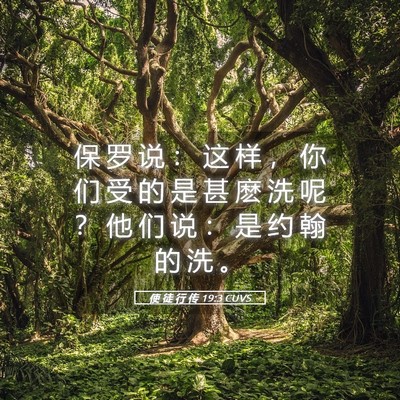 Picture 05 - 使 徒 行 传 19:3 CUVS - 保 罗 说 ： 这 样 ， 你 们 受 的 是 - Bible Verse Picture