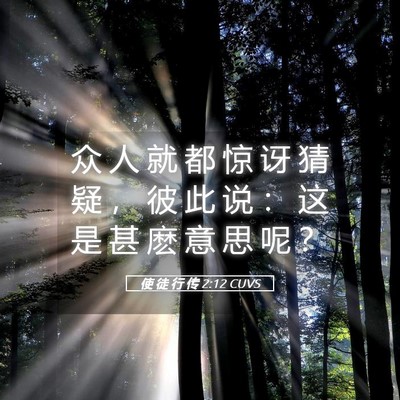 Picture 05 - 使 徒 行 传 2:12 CUVS - 众 人 就 都 惊 讶 猜 疑 ， 彼 此 说 - Bible Verse Picture